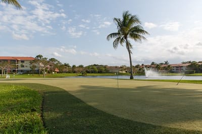 View of a green space with palm trees and a pond.