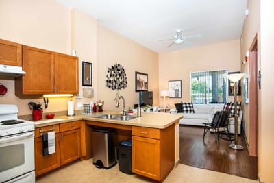 Cozy kitchen and living area of an apartment