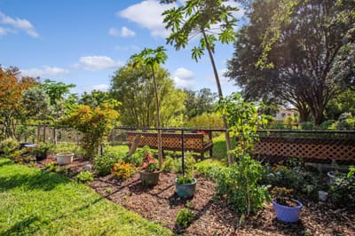 Well-maintained garden area with various plants