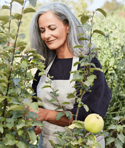 Woman tending to a garden with apple trees.