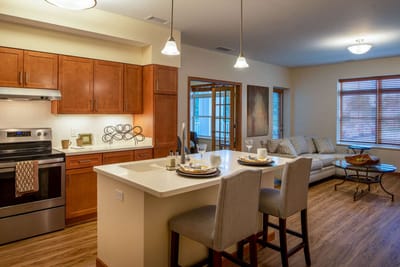 Modern kitchen and living area in an apartment.