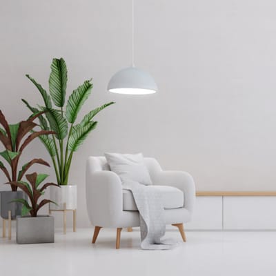 A modern, minimalistic interior with plants and a chair