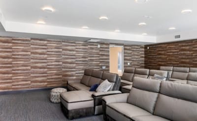 Interior view of a comfortable viewing room with seating