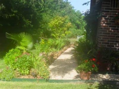 Well-maintained garden pathway with flowers and plants