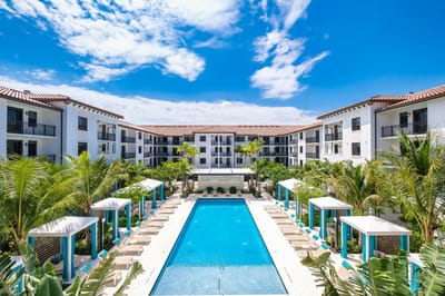 Swimming pool surrounded by palm trees and building