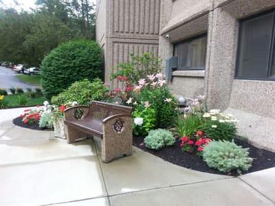 Beautifully landscaped outdoor space with colorful flowers