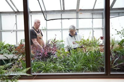 Residents gardening in a greenhouse