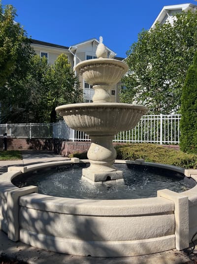 Outdoor fountain with greenery and building in background