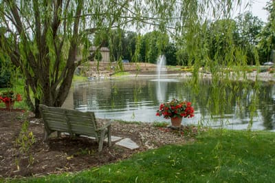Relaxing outdoor bench by the pond with flowers