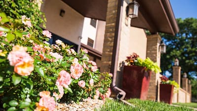 Colorful flowers in front of a building entrance