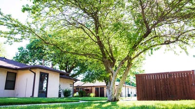 A sunny outdoor view of the facility with trees
