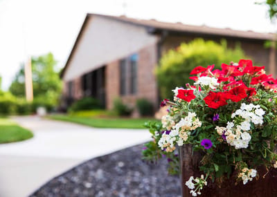 Colorful flowers near the entrance of Shorey Villa
