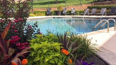 A serene pool area surrounded by colorful flowers