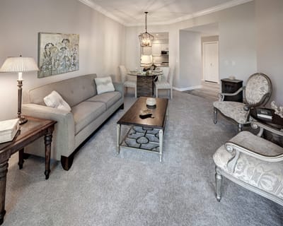 Bright interior living space with cozy furniture