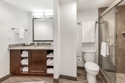 Bright bathroom with modern fixtures and towels