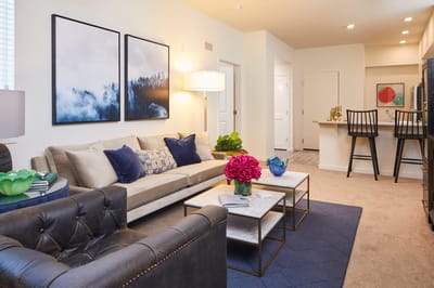 Cozy living room setting with stylish decor