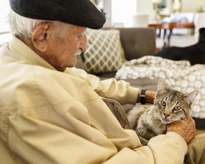 Elderly man holding a cat in a cozy indoor setting