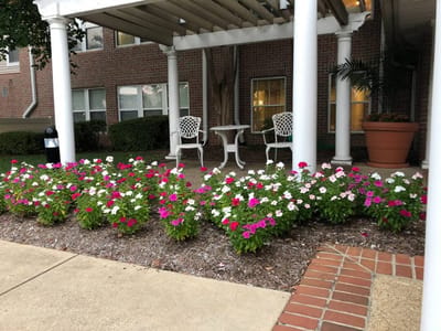 Chairs and flowers outside a building entrance