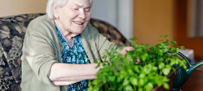 Senior woman gardening indoors with plants.