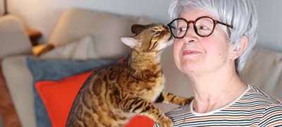 Senior woman with a cat in a cozy setting