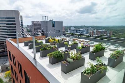 Rooftop garden with seating and greenery.