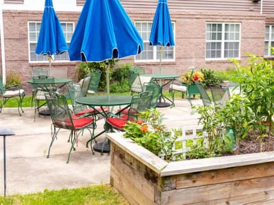 Outdoor seating area with umbrellas and greenery.