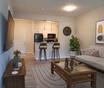Modern living room with kitchen view