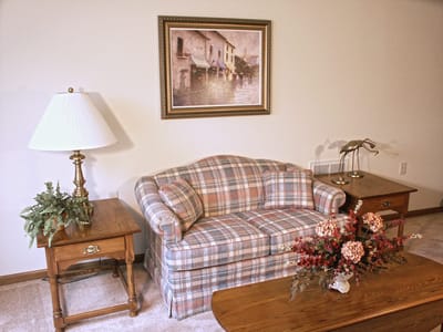 Cozy living room setup with a sofa and decorative items