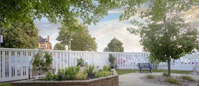 Outdoor garden area with seating and greenery