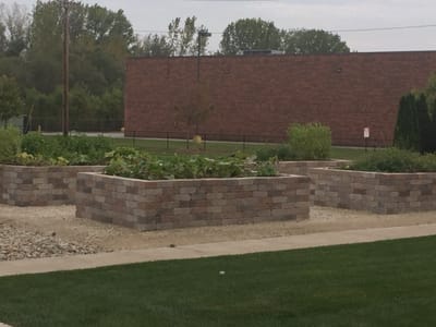 Garden beds in a community outdoor space