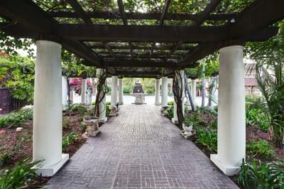 Pathway through a landscaped garden area