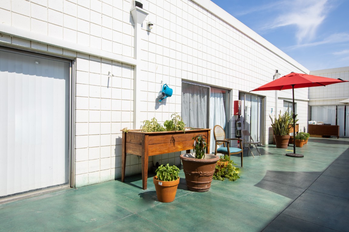 Outdoor seating area with plants and an umbrella
