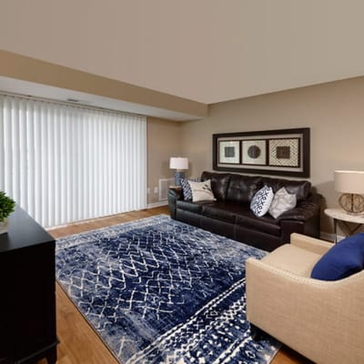 Cozy living room with brown leather couch and decorative rug