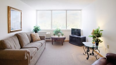 Cozy living room with couch and plants