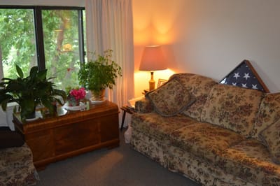 Cozy living room with floral couch and lamp