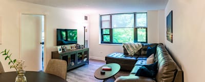 Cozy living room area with natural light