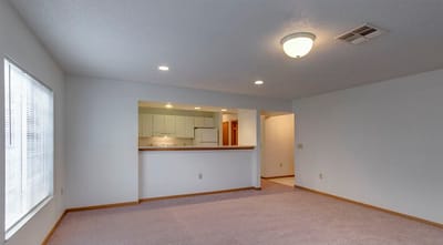 Interior living space with kitchen in the background