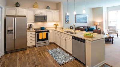 Modern kitchen in a senior living apartment