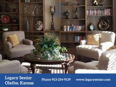 Cozy lounge area with bookshelves and seating