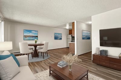 Bright and modern interior living space