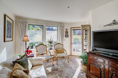 Interior view of a cozy living room with two chairs
