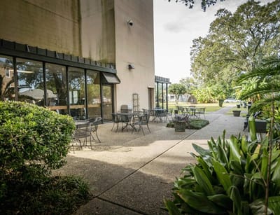 Outdoor seating area with tables and greenery