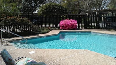 Outdoor pool area surrounded by flowers