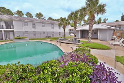 Outdoor pool area with lounge chairs and palm trees