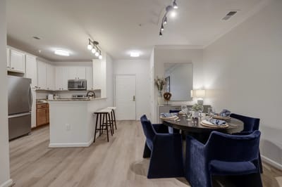 Modern interior of a dining area with kitchen