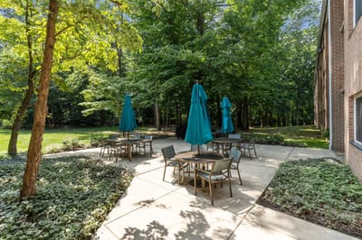 Outdoor seating area with blue umbrellas surrounded by trees