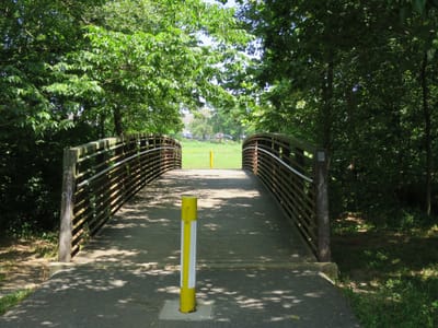 A wooden bridge surrounded by greenery