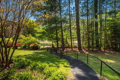 Pathway through a lush green garden area