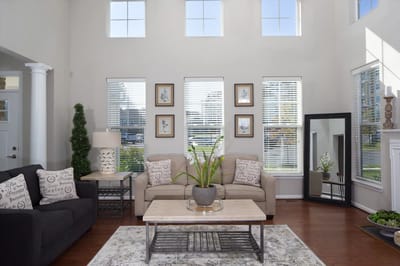 Bright and airy interior living room with furniture