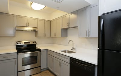 Modern kitchen with stainless steel appliances and gray cabinets